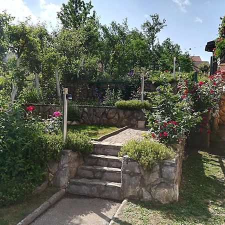 Apartment Bozic Vrbovsko Dış mekan fotoğraf